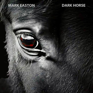 Shigshirgiin Ai (Xiger Xiger)