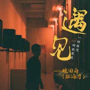 遇见--晚回舟（张海涛）