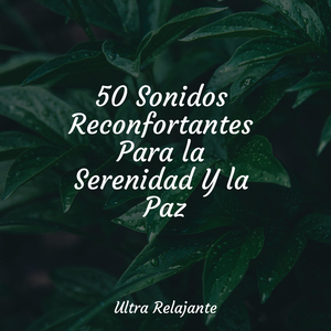 Paisajes De Ensueño De Horizontes