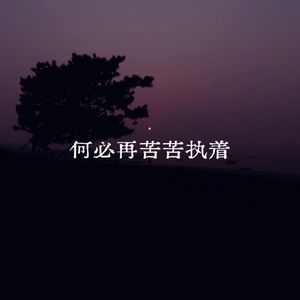 何必再苦苦执着