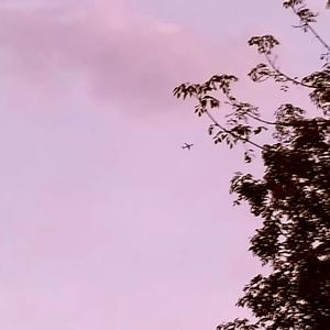 이별후회（后悔离别）cover.金娜英 | 那年我们