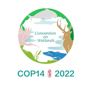 颂和鸣（北京音有爱少儿爱乐合唱团）