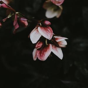 中国风Boombap Beat(山海经)