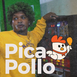 Picapollo