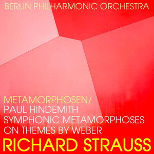 Metamorphosen For 23 Solo Strings