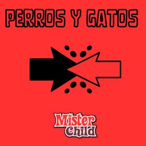 Perros y Gatos