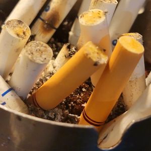 ねむるまち (Cover くじら)