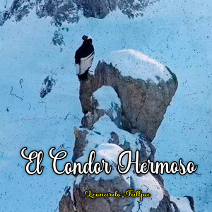 El Condor Hermoso