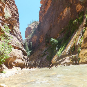 そばにいるだけで