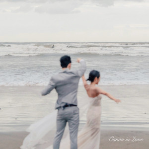 Canon in Love(卡农英文版)