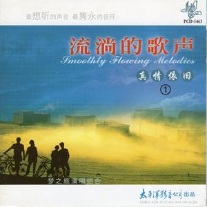 在银色的月光下