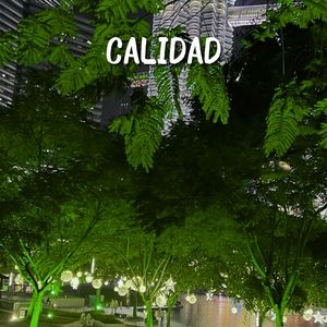 Calidad