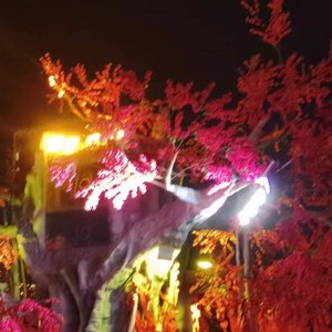 斯洛伐克斯洛伐克