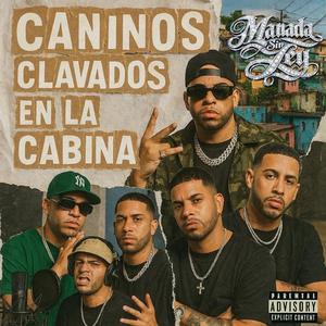 Caninos clavados en la cabina