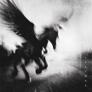 계절이 다시 (When Seasons Come)