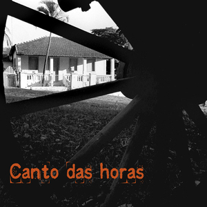 Noites de Arribação
