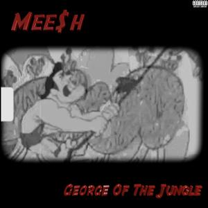 George of the Jungle