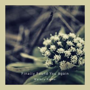 Finally Found You Again