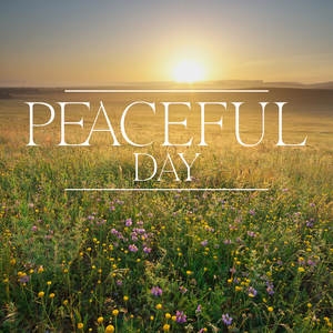 In The Midst Of Chaos