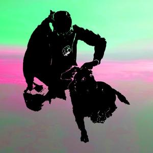 KARETKA MEGA PUNISHMENT