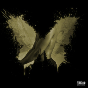 Pimped Out Butterfly