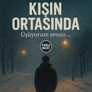 Kışın Ortasında Üşüyorum