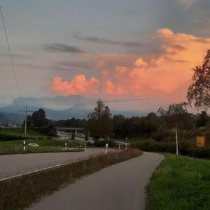 Зникла без слів