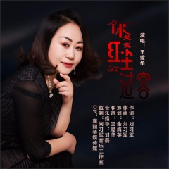 你是我红尘的过客