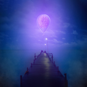 Red Roses On The Carpet