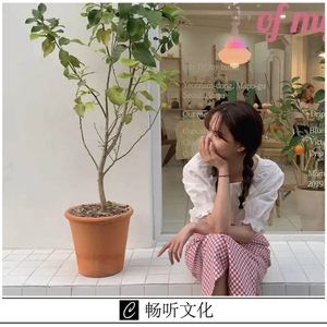 把感情全部都斩断(抖音热播版)