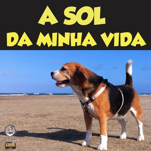A Sol da Minha Vida
