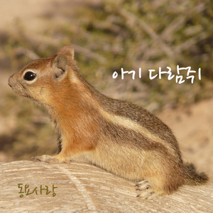 아기 다람쥐
