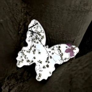 “触碰” Emotional Guitar & 痛苦情绪采样 Type Beat 2024