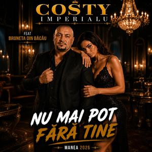 Nu Mai Pot Fără Tine (feat. Bruneta Din Bacău)