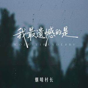 我最遗憾的是(没把你留住)