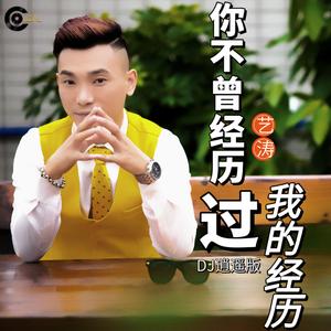 你不曾经历过我的经历 (DJ版)