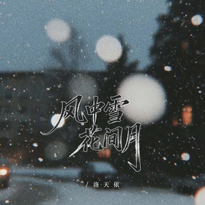 风中雪 花间月