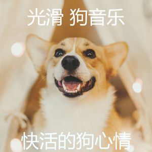 温和小狗梦想