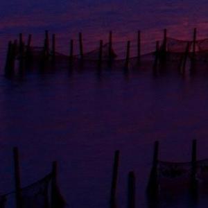 冰冷的酒悲伤的泪