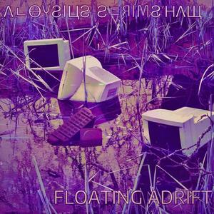 110111100000010 110110101000001 11000001011001 11000010001011 (feat. Ｔｒａｎｓｆｏｒｍａｔｉｖｅ Ｓｌｅｅｐ)