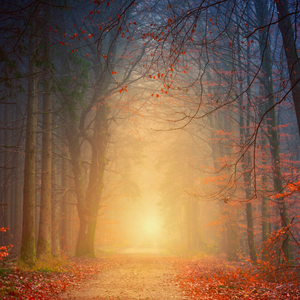 Lumination