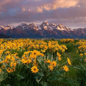 你可以告诉我 (你还爱谁)