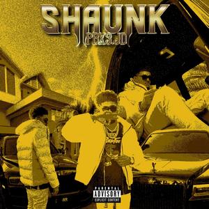 Shaunk