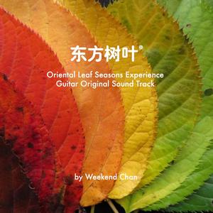 落叶（番外篇）