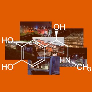 Patrão, Igreja e Brisa