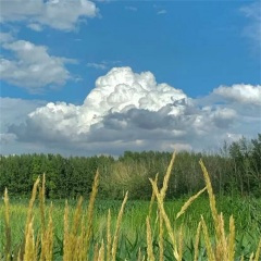 东山再起 (dj版)