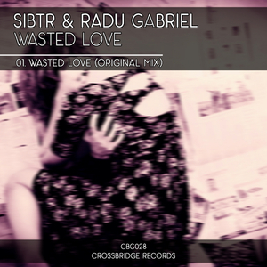 Wasted Love (Original Mix)