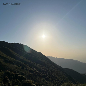 逍遙 (引彎曲山鳥聲)