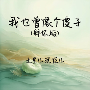 我也曾像个傻子(释怀版)