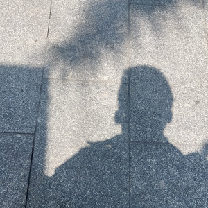 关于郑州的记忆